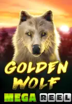 Golden Wolf